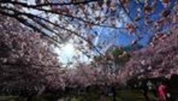 wetterbericht: frühling in sichtweite: viel sonne und milde temperaturen