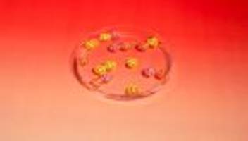 Glücksforschung: Was ich auf einer Glückskonferenz von den Profis gelernt habe