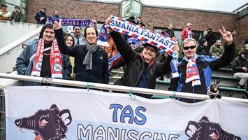 klappt es diesmal mit tasmanias aufstieg? „wir trauen dem braten noch nicht“