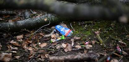 Flensburg: Staatsanwalt ermittelt nach tödlichem Baumunglück