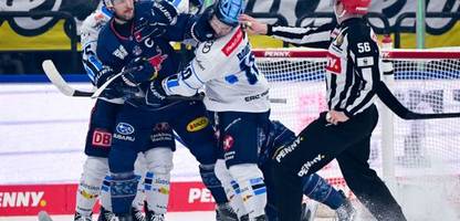 eishockey: erc ingolstadt beklagt »überharte« spielweise nach brutalem foul und aus gegen red bull münchen