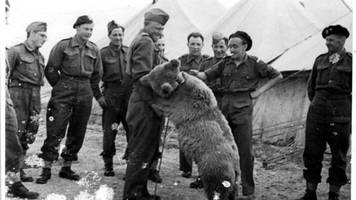 corporal wojtek: ein braunbär zieht in den zweiten weltkrieg