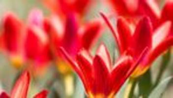 Fotografie: Bilder des Tages