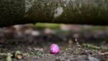 Unglück bei Ostereiersuche: Unglück an Ostern – Umgestürzter Baum sollte gefällt werden