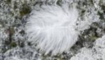 vätercoaching: ich bin vater, gebt mir einen coach