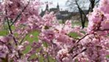 wetter: wieder sonne in sachsen