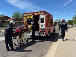 in kritischem zustand in klinik: bienen stechen wanderer in den usa mehr als 100 mal