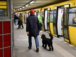 Keine Haftstrafen mehr : Justizministerin Hubig will Schwarzfahren entkriminalisieren