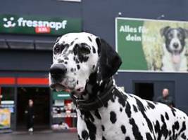 kunden sind preissensibler: fressnapf will mit kleineren innenstadt-filialen expandieren