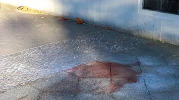 Tragischer Unfall in Berlin: Mann von herabfallendem Blumenkübel getötet