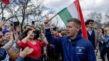 er könnte orbans albtraum werden. aber wer ist peter magyar?