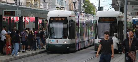 Alle alkoholisiert: Vier Personen schlägern sich am Königsplatz
