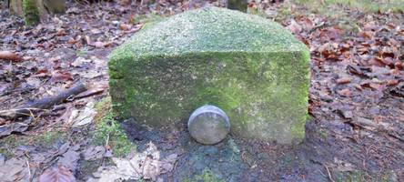 „Abenteuer Siebentischwald“: Das hat es mit den geheimnisvollen Granitpfeilern auf sich