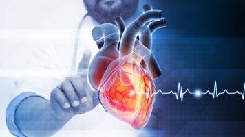 us-amerikanische kardiologen haben soeben neue richtlinien für die cholesterinbehandlung veröffentlicht