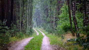 messerangriff auf spaziergängerin: verdächtiger festgenommen
