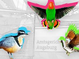 „Erhebliches Tierleid verursacht“: Bandenmäßiger Vogelschmuggel aus Afrika