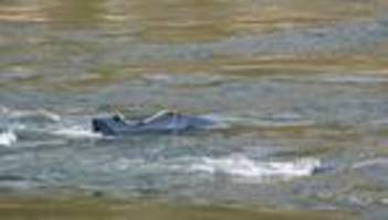 Energie aus dem Wasser: Verband: Wasserkraft könnte Anteil am Strommix verdoppeln