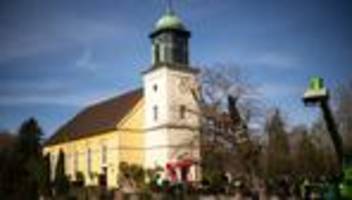 Geschichte: Stütze für Bremens ältesten Baum