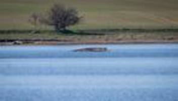 Kulturgeschichte: Ostsee-Wale bewegten schon vor Jahrhunderten die Menschen