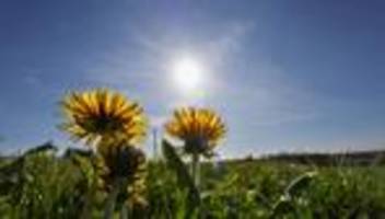 Wetterbericht: So lange hält das frühlingshafte Ferienwetter noch