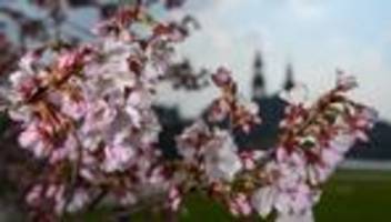 Wettervorhersage: So lange hält sich das sonnige Frühlingswetter in Sachsen