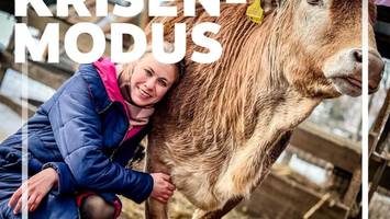 die leopardin, der krieg und die tierretter in charkiw