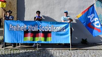 Warum wird die AfD gewählt? Umfrage offenbart wichtigsten Grund