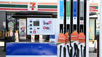 Australien und Neuseeland im Wettlauf mit der Zeit: Helfen die USA im Pazifik?