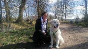 Hier lernen Hunde, Giftköder einfach liegenzulassen