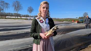 Saison für Spargel hat begonnen: So teuer ist das heimische Edelgemüse