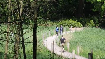 laufen, spazieren, flanieren: harburgs stadtpark wird 100 jahre alt