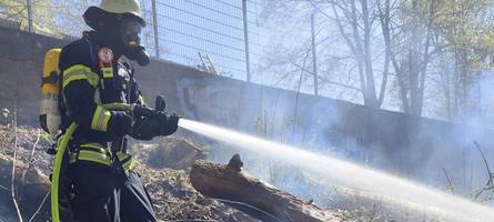 Feuerwehr rückt wegen Brand nahe Tierheim aus – aber findet das Feuer nicht