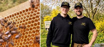 Diese Brüder kümmern sich um 1,5 Millionen Bienen