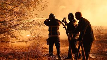 pro-ukrainische partisanen sprengen putins nachschubroute – züge voller munition bleiben stehen