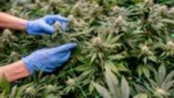 Cannabis Social Clubs: Nur wenige Cannabis-Anbauvereine in Thüringen