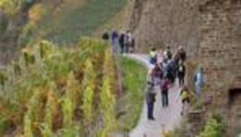 Freizeit: Wein und Kultur: 100 geführte Wanderungen