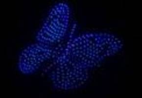 Luftperformance: Flugshow: Hunderte Drohnen tanzen am Himmel