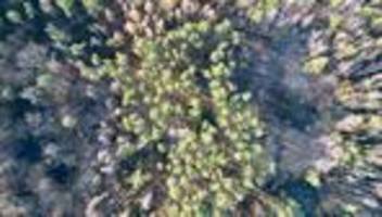 Trockenheit: Hohe Waldbrandgefahr im Norden und Osten Sachsens