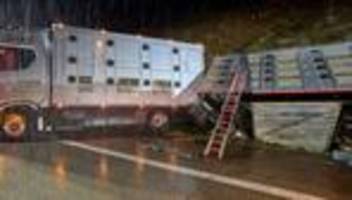 Unfallbilanz: Innenminister stellt Verkehrsunfallbilanz 2025 vor