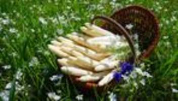 Weißer Spargel: So holen Sie das Beste aus der Spargel-Saison heraus