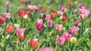 Wetter: Sonne-Wolken-Mix über Bayern