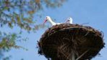 wetter-vorhersage: heiter bis sonnig und warm - bis 23 grad möglich