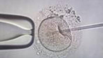 wunsch nach einem baby: kinderwunschpaare: weniger geld, weniger chancen