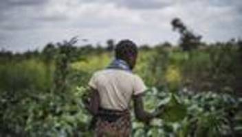 Entwicklungshilfe: Deutschland verfehlt UN-Zielmarke für Entwicklungshilfe