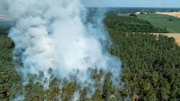 Waldbrandgefahr steigt in Brandenburg weiter: Zwei Landkreise besonders gefährdet