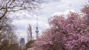 wetter in berlin: auf nassen freitag folgt ein wochenende mit viel sonnenschein