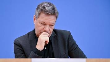 Grüne müssen Bußgeld für umstrittene Habeck-Wahlwerbung zahlen