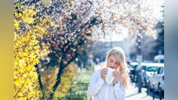 arzt über cetirizin & co.: diese tabletten helfen am besten gegen heuschnupfen