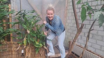 Echt exotisch: Wo jetzt bei Hamburg ein neuer Tierpark entsteht