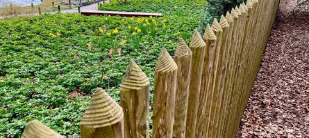 der botanische garten wird 90 jahre alt: was besucher auf dem gelände in augsburg erwartet